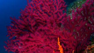 Keyif dolu bir tatil i&ccedil;in rotanızı Balıkesir&rsquo;e &ccedil;evirin