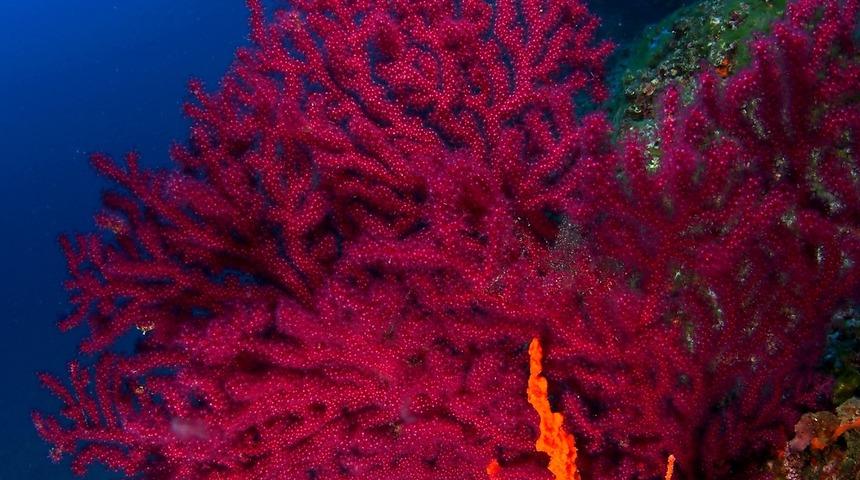 Keyif dolu bir tatil i&ccedil;in rotanızı Balıkesir&rsquo;e &ccedil;evirin