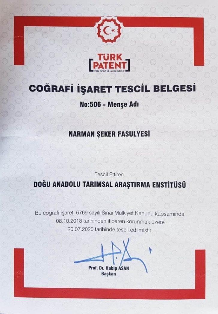 Narman şeker fasulyesi tescil edildi G3