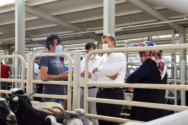 Nallıhan’da Kurban Bayramı telaşı tüm hızıyla devam ediyor