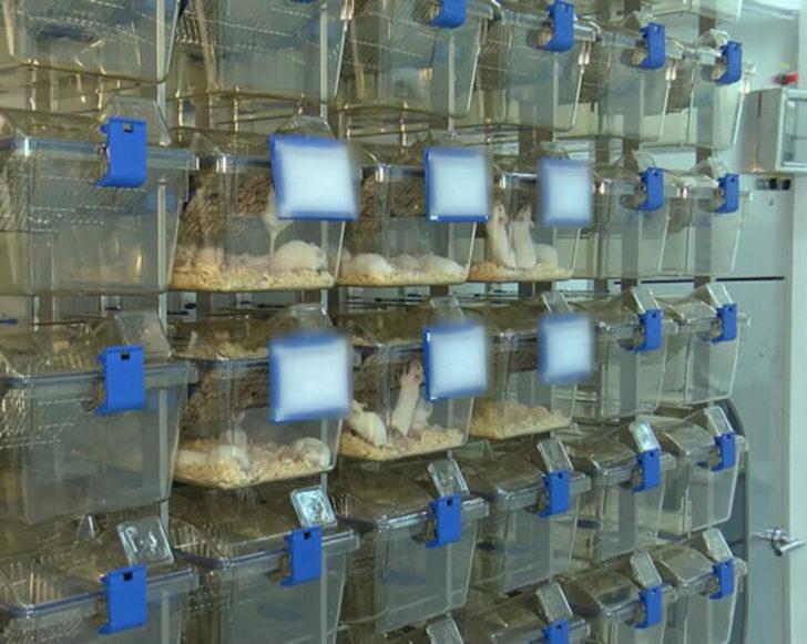 İlk kez görüntülendi! İşte Türkiye'den koronavirüsü silecek o tesis G3