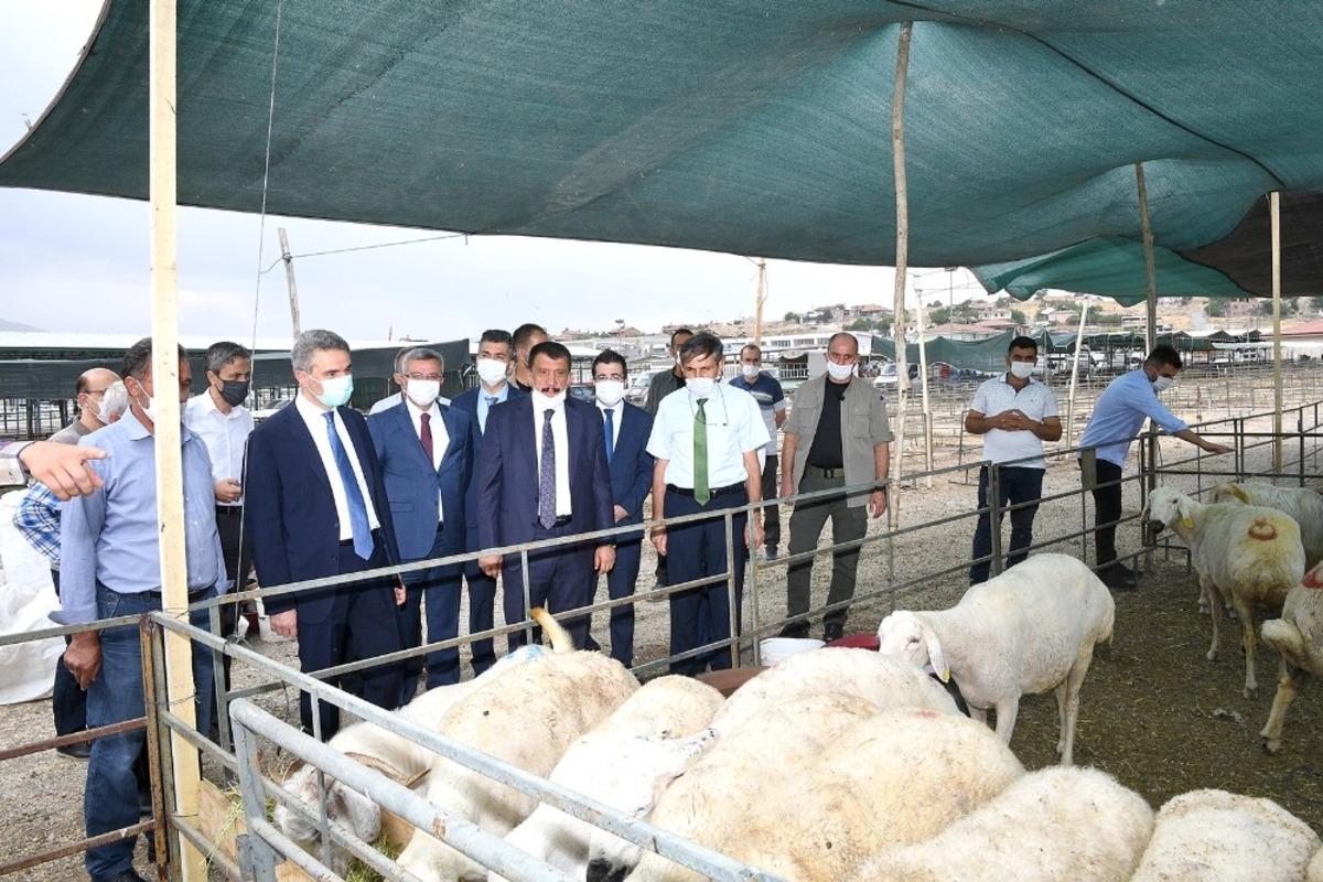 Malatya hayvan pazarı kesimhanelerinde monoray sistemine ge&ccedil;ildi