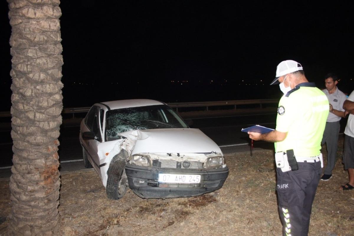 Otomobil palmiyeye &ccedil;arptı: 1 yaralı