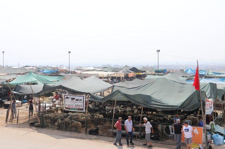 Toroslar Belediyesi, kurban satış ve kesim yerleri hazırlıklarını tamamladı G3