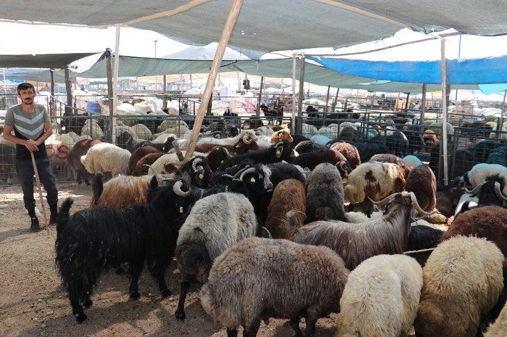 Toroslar Belediyesi, kurban satış ve kesim yerleri hazırlıklarını tamamladı G4