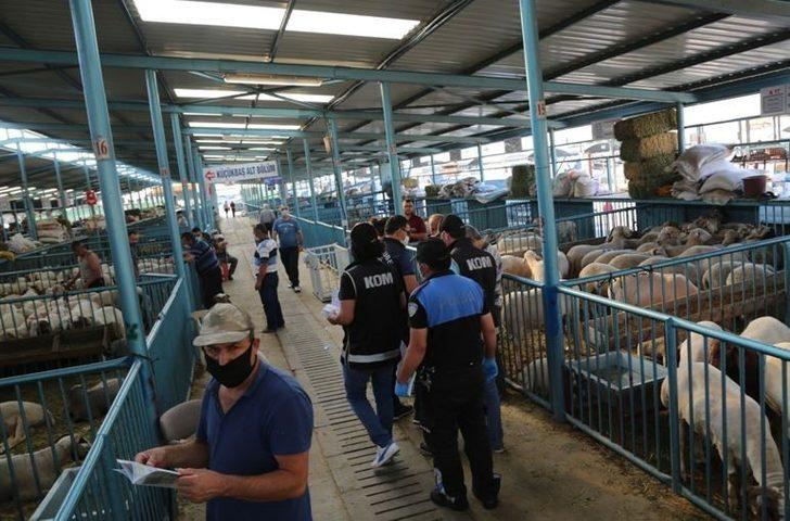 Polis ekipleri, dolandırıcılara karşı hayvan pazarında bilgilendirme yapacak G4