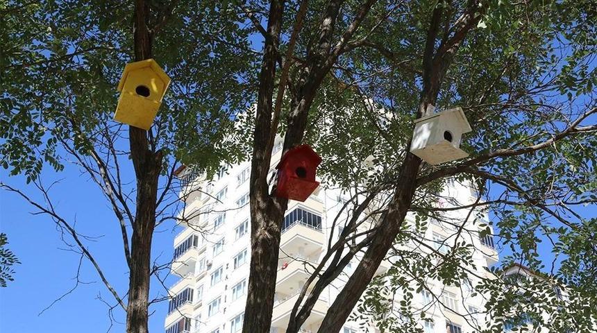 Kuşların yuvasını Şahinbey Belediyesi yapıyor