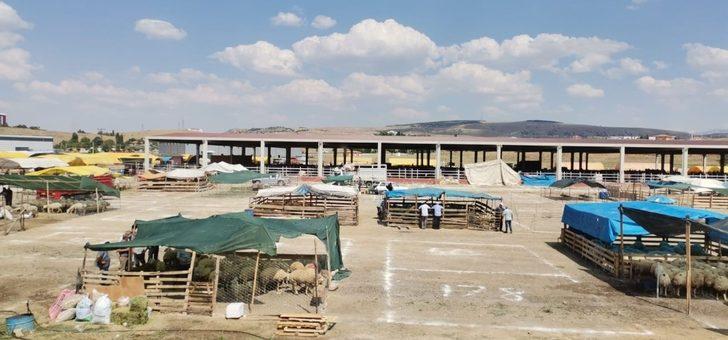 Kurban pazarında pandemi tedbirleri G4