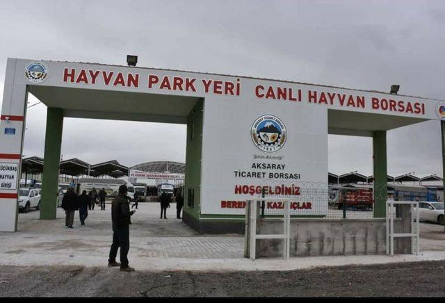 ATB Canlı hayvan borsasında kurban satışları başladı