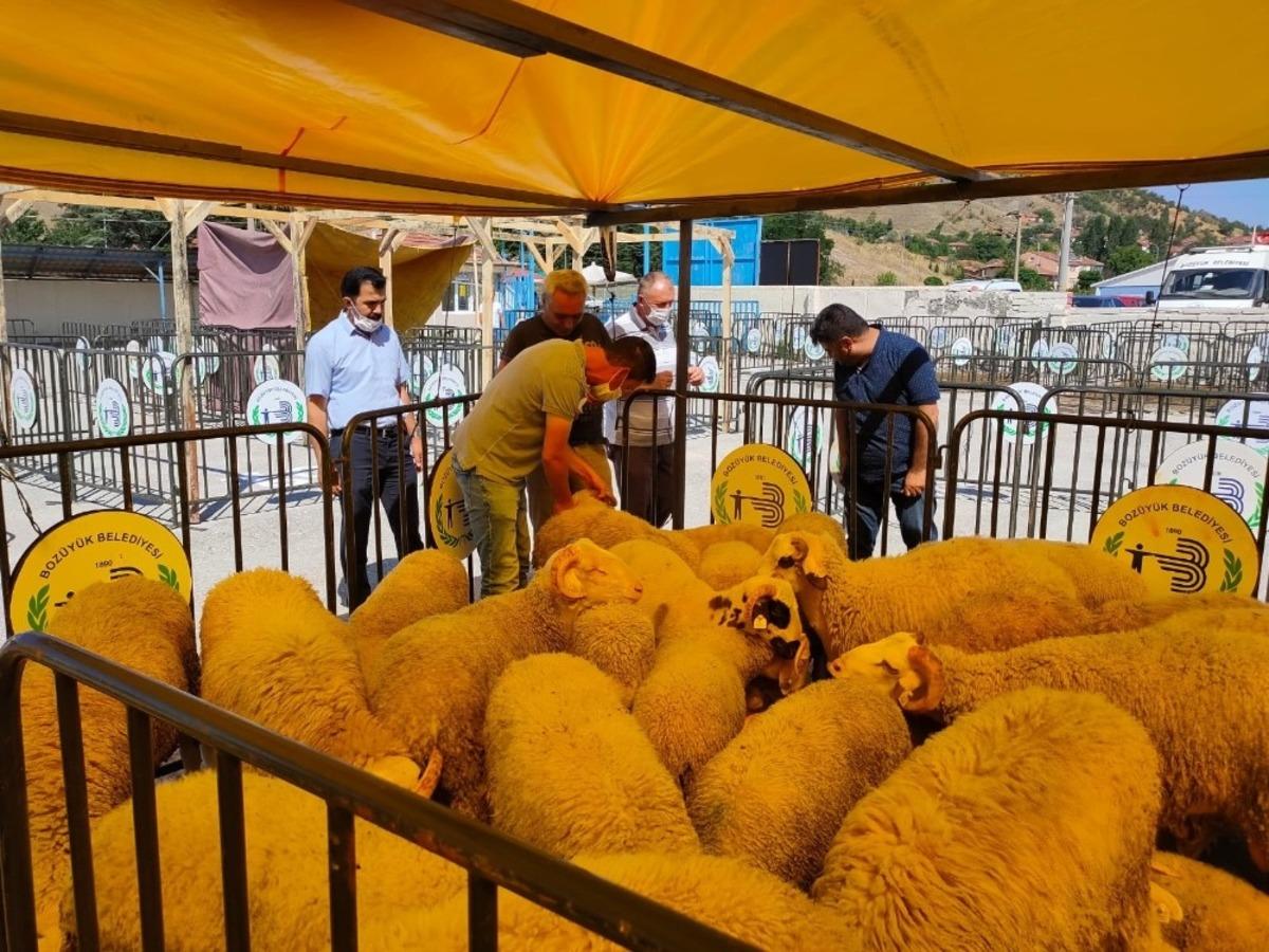 Kurban satış ve kesim yerleri denetlendi