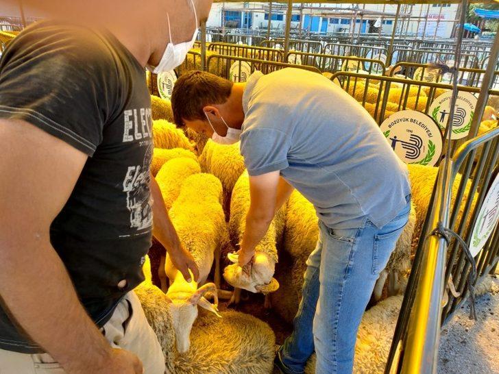 Kurban satış ve kesim yerleri denetlendi G5