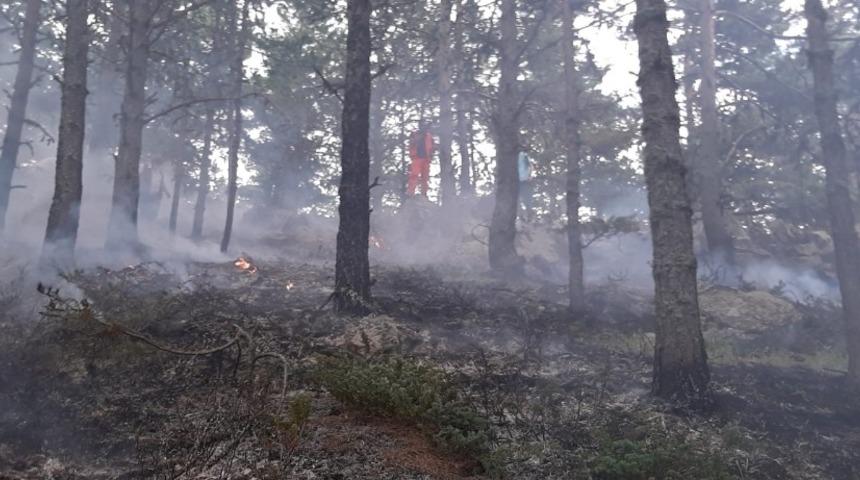 Amasya’da korkutan orman yangını