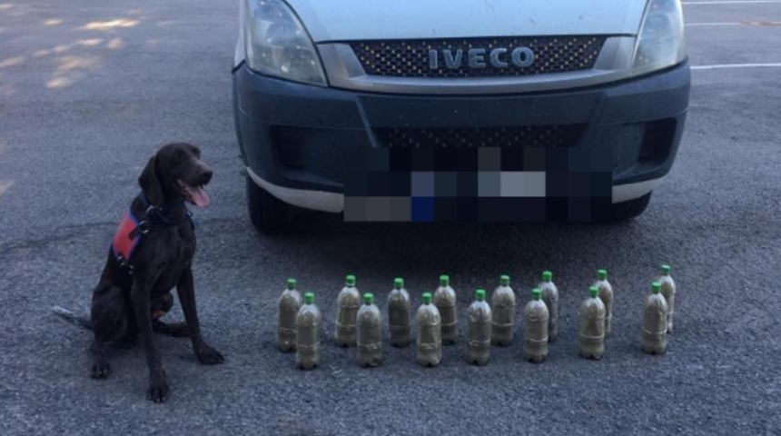 Narkotik köpeği ‘Sıtma’ buldu, 150 bin TL değerinde esrar ele geçirildi