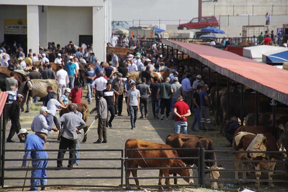 Bayburt&rsquo;ta Kurban Bayramı heyecanı