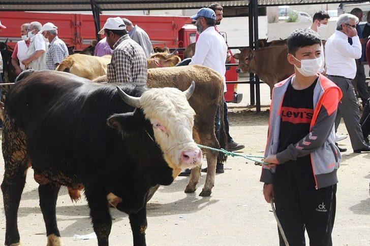 Bayburt’ta Kurban Bayramı heyecanı G3