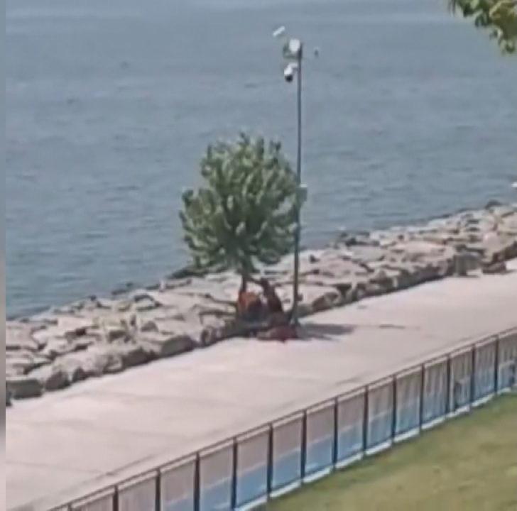 Tevfik Göksu'dan İBB'ye ağaç tepkisi G1