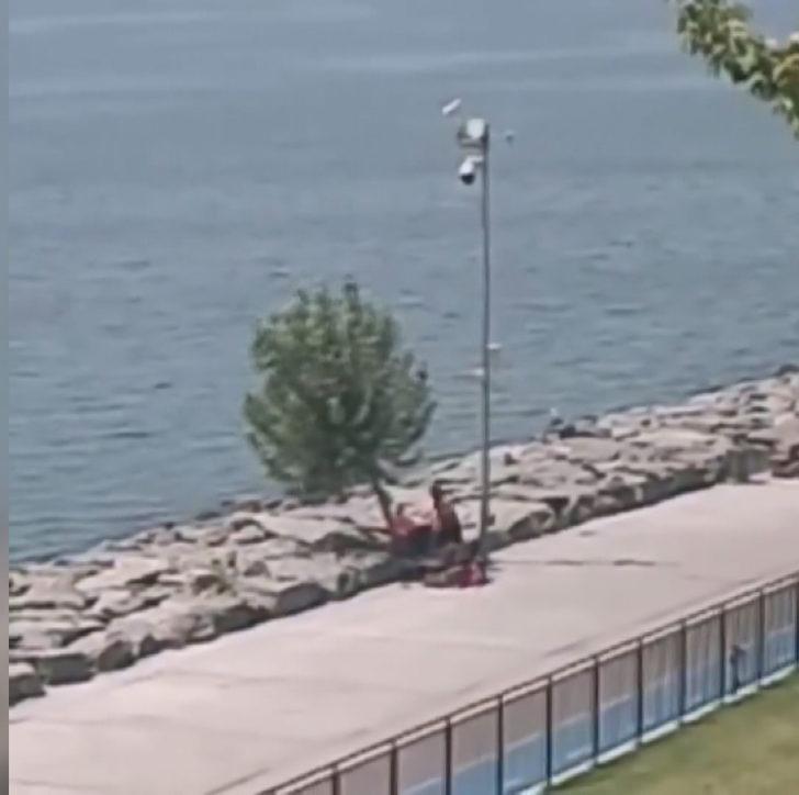 Tevfik Göksu'dan İBB'ye ağaç tepkisi G2