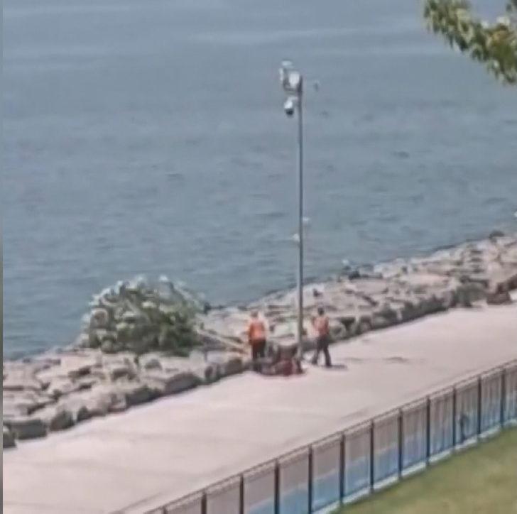 Tevfik Göksu'dan İBB'ye ağaç tepkisi G3