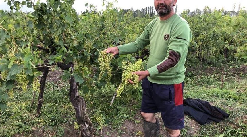 Iğdır&rsquo;da etkili olan dolu bir&ccedil;ok ekili alana zarar verdi