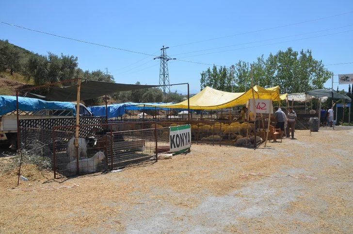 Kuşadası, Kurban Bayramı’na hazır G3