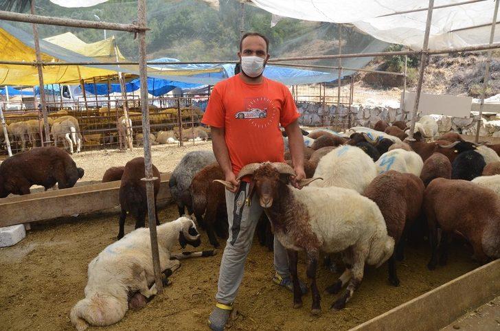 Kuşadası, Kurban Bayramı’na hazır G5
