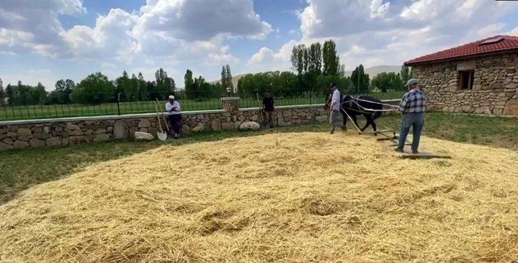 Kenan Yavuz Etnoğrafya Müzesi’nde “Harman Şenliği” düzenlendi G3