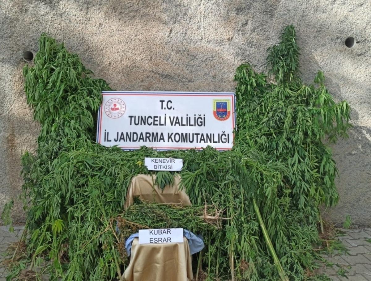 Tunceli&rsquo;de uyuşturucu ile m&uuml;cadele
