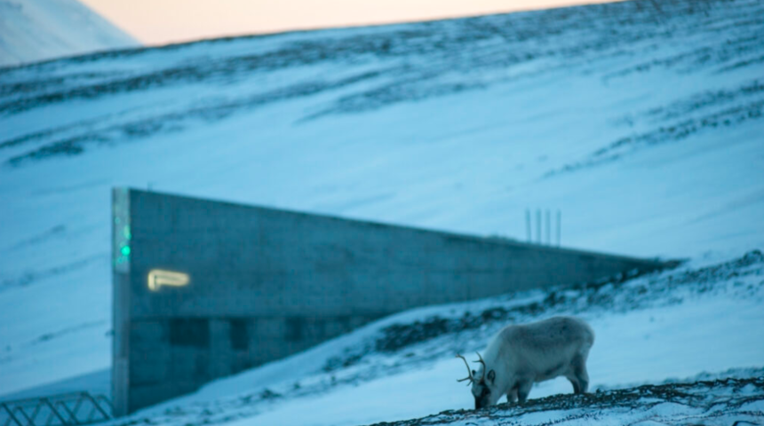 İnsanlığın son umudu k&uuml;resel ısınma tehlikesi yaşıyor!