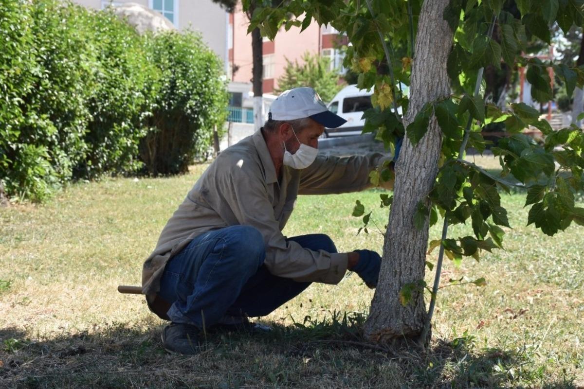 Erenler Bayrama hazır