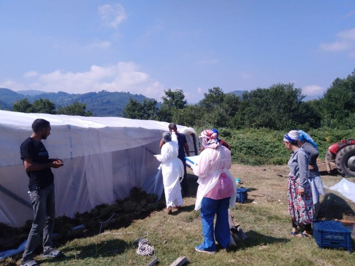 Mevsimlik fındık iş&ccedil;ileri pandemi dolayısıyla sağlık kontrollerinden ge&ccedil;irildi