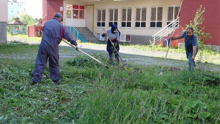 Yabani otlar okul müdürü tarafından tırpanla biçildi G5