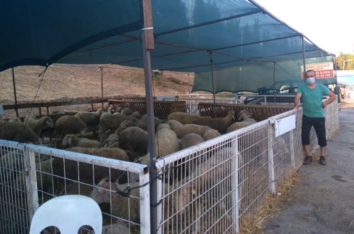 Erdek&rsquo;te kurban kesim kuralları belli oldu