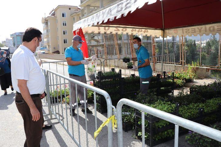 Alanya Belediyesi, 21 mezarlıkta 58 bin çiçek dağıtacak G2