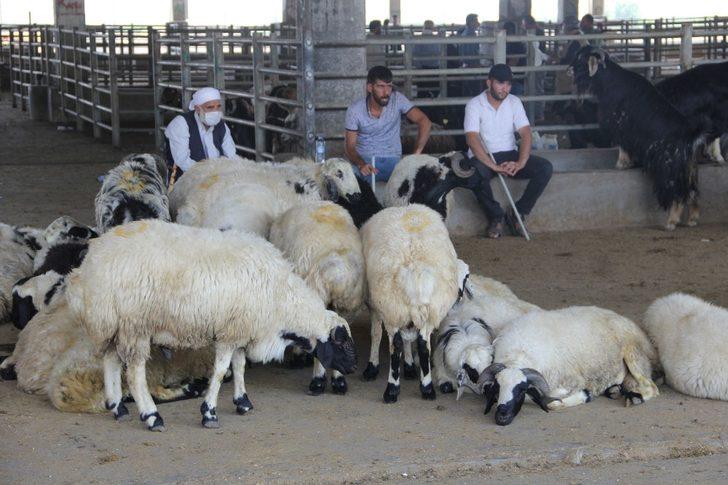 Diyarbakır’da hayvan satış ve kesim şartları belirlendi G4