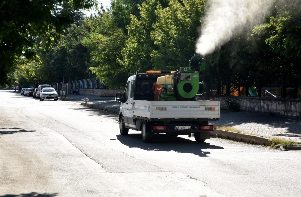 Sineklerle m&uuml;cadeleye devam ediliyor