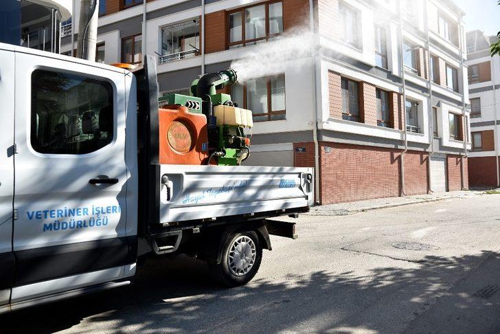 Sineklerle mücadeleye devam ediliyor G3