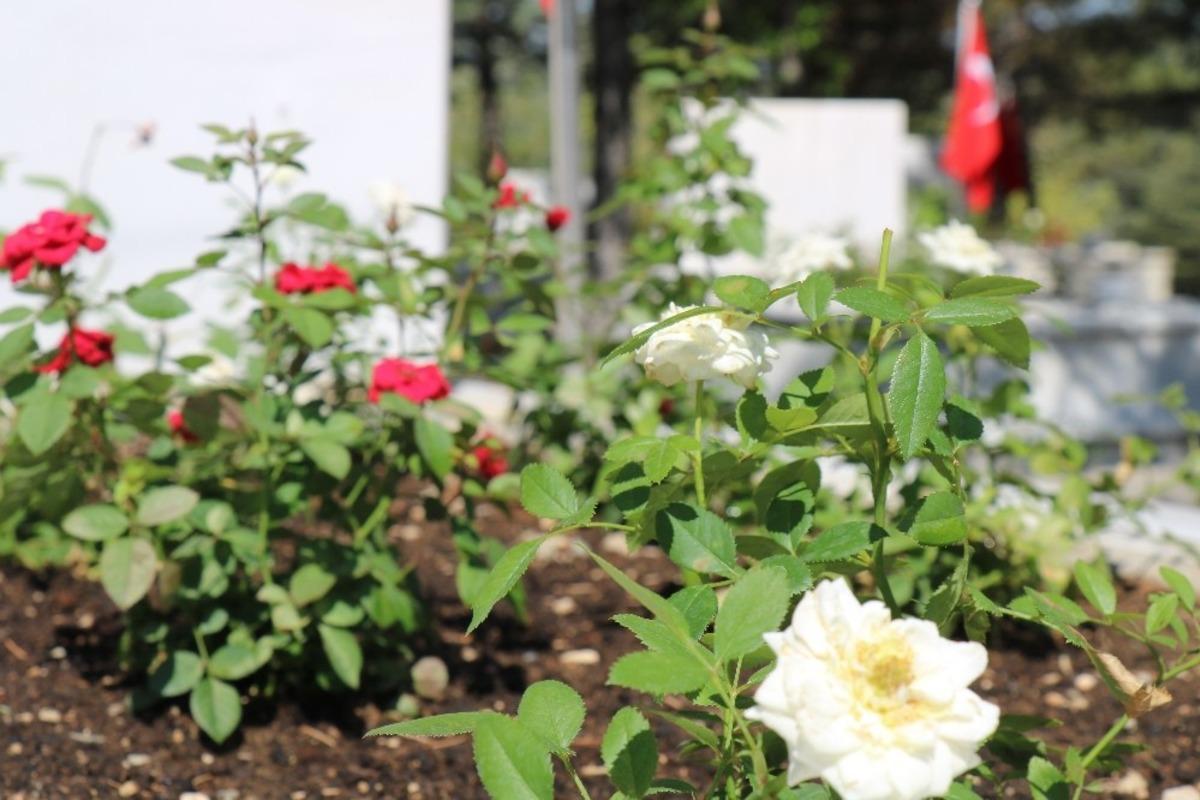Kırşehir şehitliği, Kurban Bayramına hazırlandı