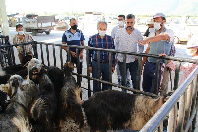 Başkan Akkaya’dan hayvan pazarına ziyaret