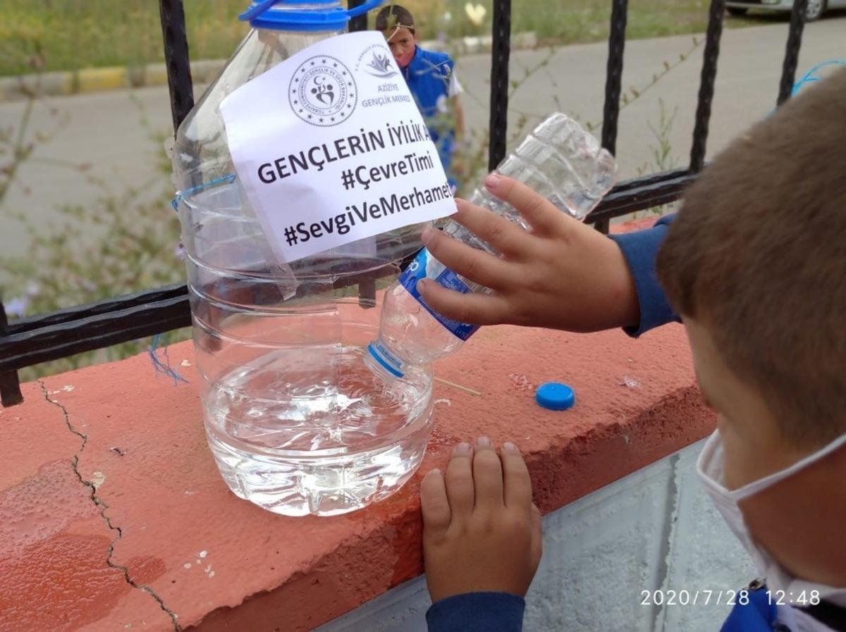 En gen&ccedil; g&ouml;n&uuml;ll&uuml;ler sokak hayvanları i&ccedil;in seferber