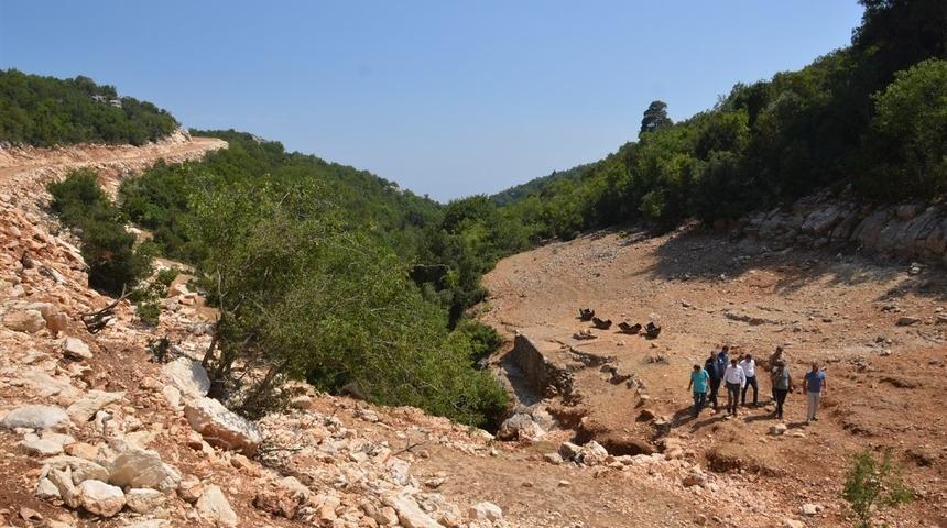 Akduman, bal ormanı çalışmalarını inceledi