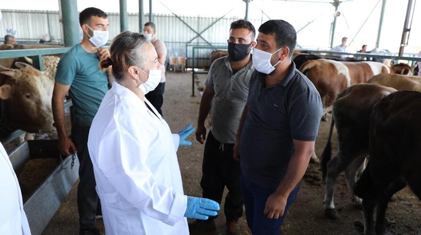 M&uuml;d&uuml;r Sever hayvan pazarındaki son kontrolleri yaptı