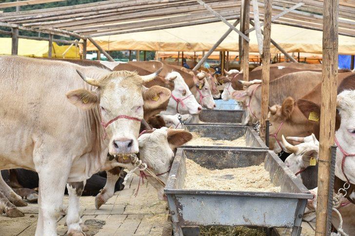 Genç, Kurban bayramı öncesi uyardı G1