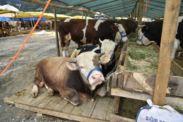 Genç, Kurban bayramı öncesi uyardı G3