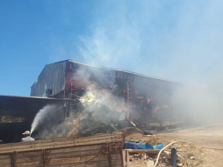 Samanlıkta yangın G2