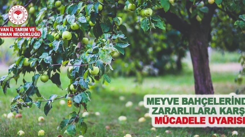 M&uuml;d&uuml;r G&ouml;rentaş&rsquo;tan meyve bah&ccedil;elerindeki zararlılara karşı uyarı