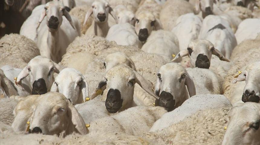 Bayramda sokağa &ccedil;ıkma yasağı var mı? Bakan Koca a&ccedil;ıkladı!