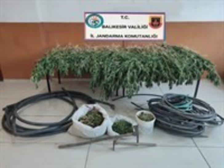 Balıkesir’de jandarmadan uyuşturucu operasyonu G2