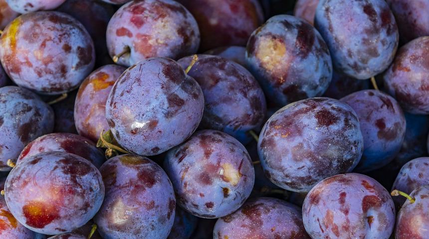 Eriğin faydaları nelerdir? Hangi vitaminleri içerir? Nasıl tüketilir?