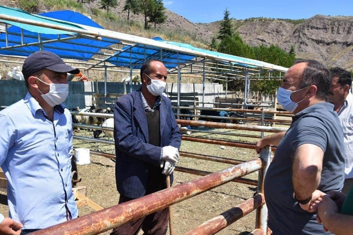 Başkan S&uuml;l&uuml;k&rsquo;ten hayvan pazarında inceleme