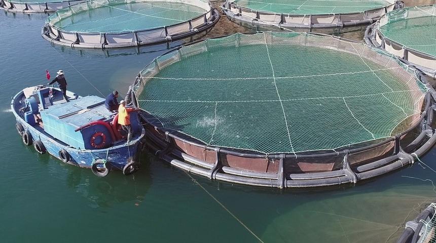 Muğla&rsquo;dan Haziran ayında en fazla ihracat Yunanistan&rsquo;a yapıldı